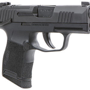 Sig Sauer 3659BXR3PMS P365 BXR Micro-Compact 9mm Luger 10+1, 3.10