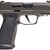 Sig Sauer 365AXGCA9LEGION P365 Legion Compact Frame 9mm Luger 17+1, 3.10"
